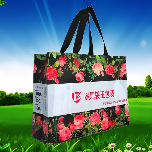 無(wú)紡布手提袋 無(wú)紡布手提袋