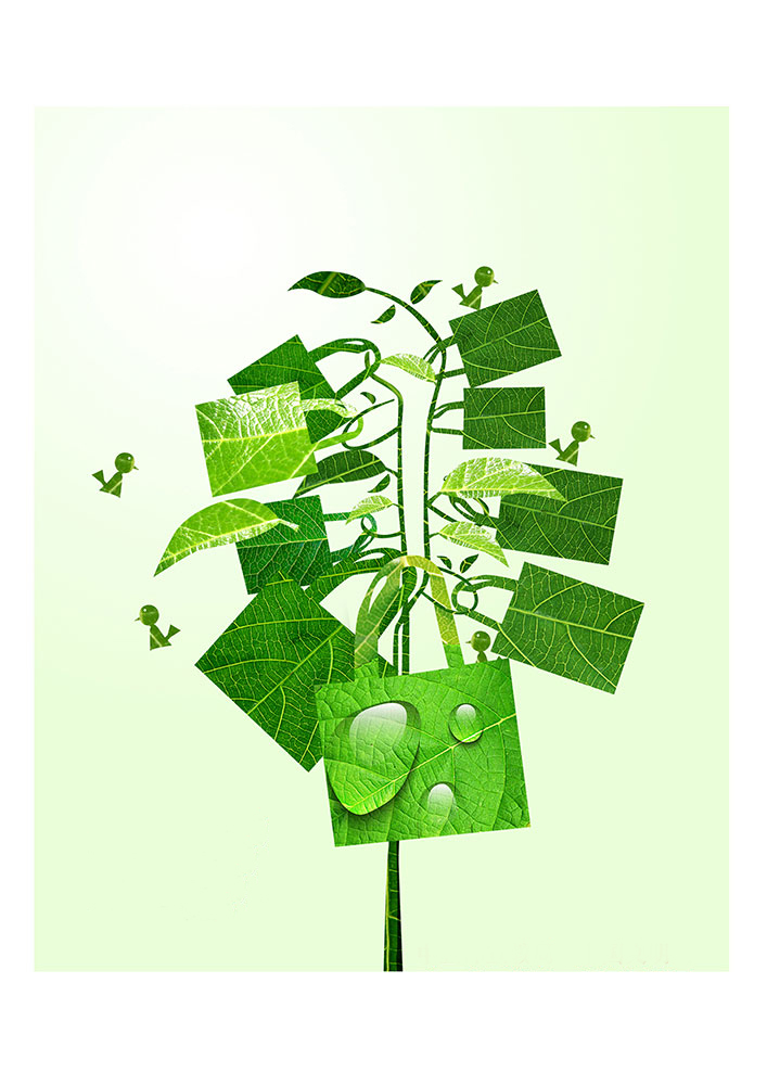 一花一世界，一個(gè)環(huán)保袋一抹綠